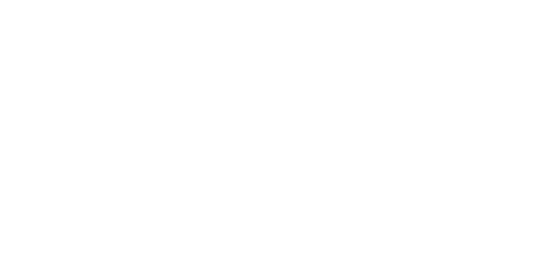 4 Seasons Logo white